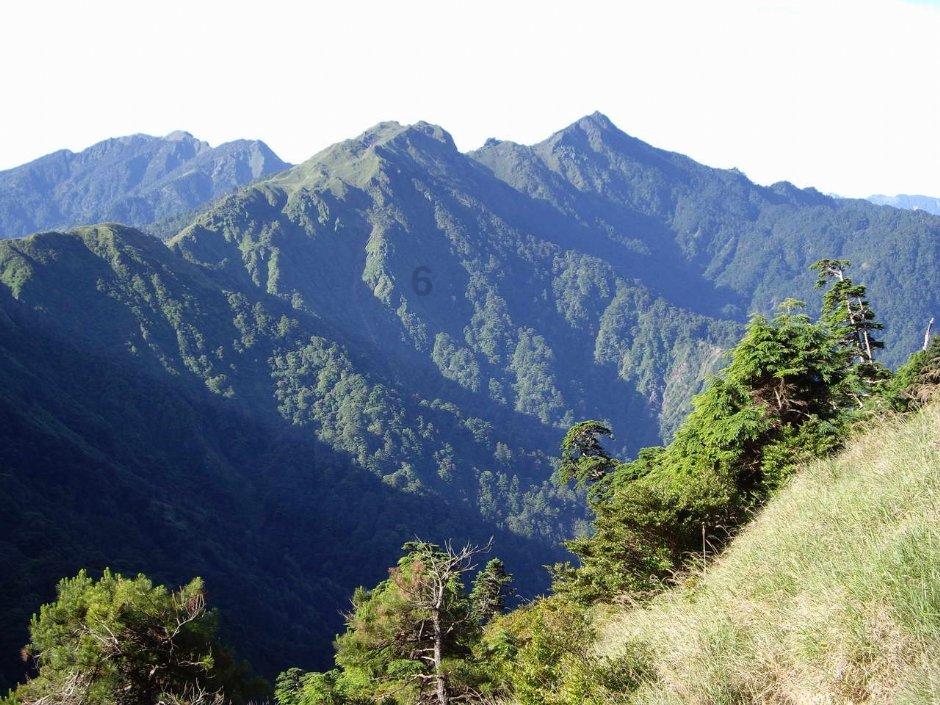 探寻有关荣耀平板7和8哪个性价比高的问答解答-荣耀平板7和8哪个性价比高问答网